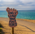Only-leave-your-footprints nick-fewings-small.png